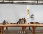 �ڶ����й���СƷ�辰��չ��Ʒȫ��28