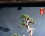 辰 1