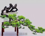 ʽ辰 6