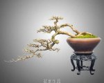 辰 9