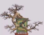 ʽ辰 5