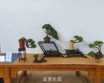 �ڶ����й���СƷ�辰��չ��Ʒȫ��34