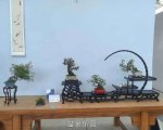 �ڶ����й���СƷ�辰��չ��Ʒȫ��38