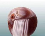 ��ʯ���� 55