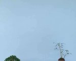�ڶ����й���СƷ�辰��չ��Ʒȫ��41