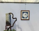 �ڶ����й���СƷ�辰��չ��Ʒȫ��14