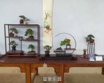 �ڶ����й���СƷ�辰��չ��Ʒȫ��33