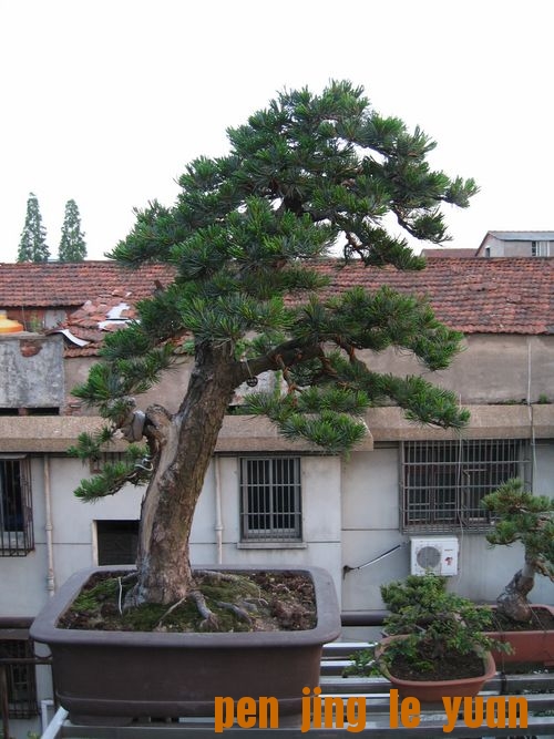 2011.jpg