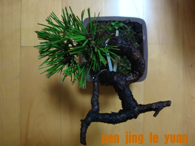 DSC06499.JPG