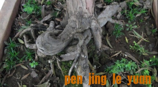 ͨȸ1.jpg