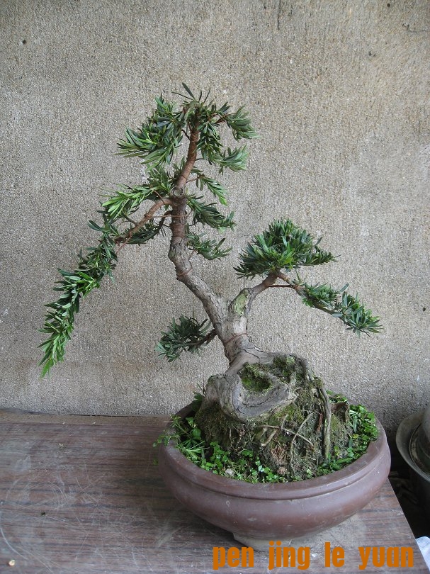 ���� ��Ƭ 013.jpg