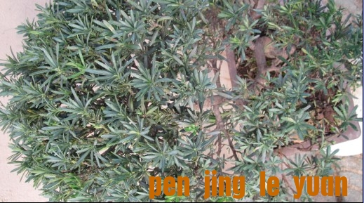 ͨȸ޺11.jpg