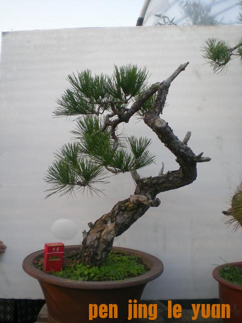 20111014С԰գ1 032.jpg