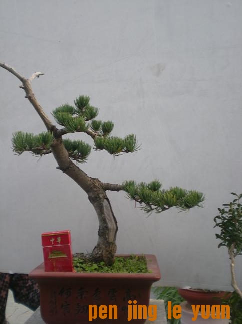 2011��10��14��С԰�գ�1�� 019.jpg