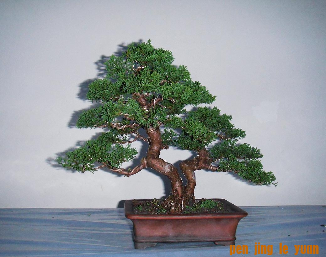 DSCF3738.JPG