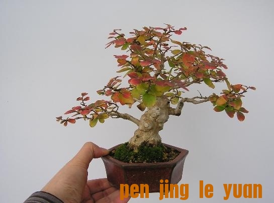 360ͼ20110918130521081.jpg