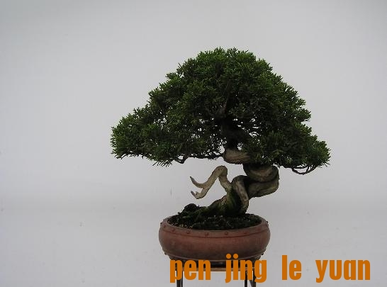 360ͼ20110918130550892.jpg