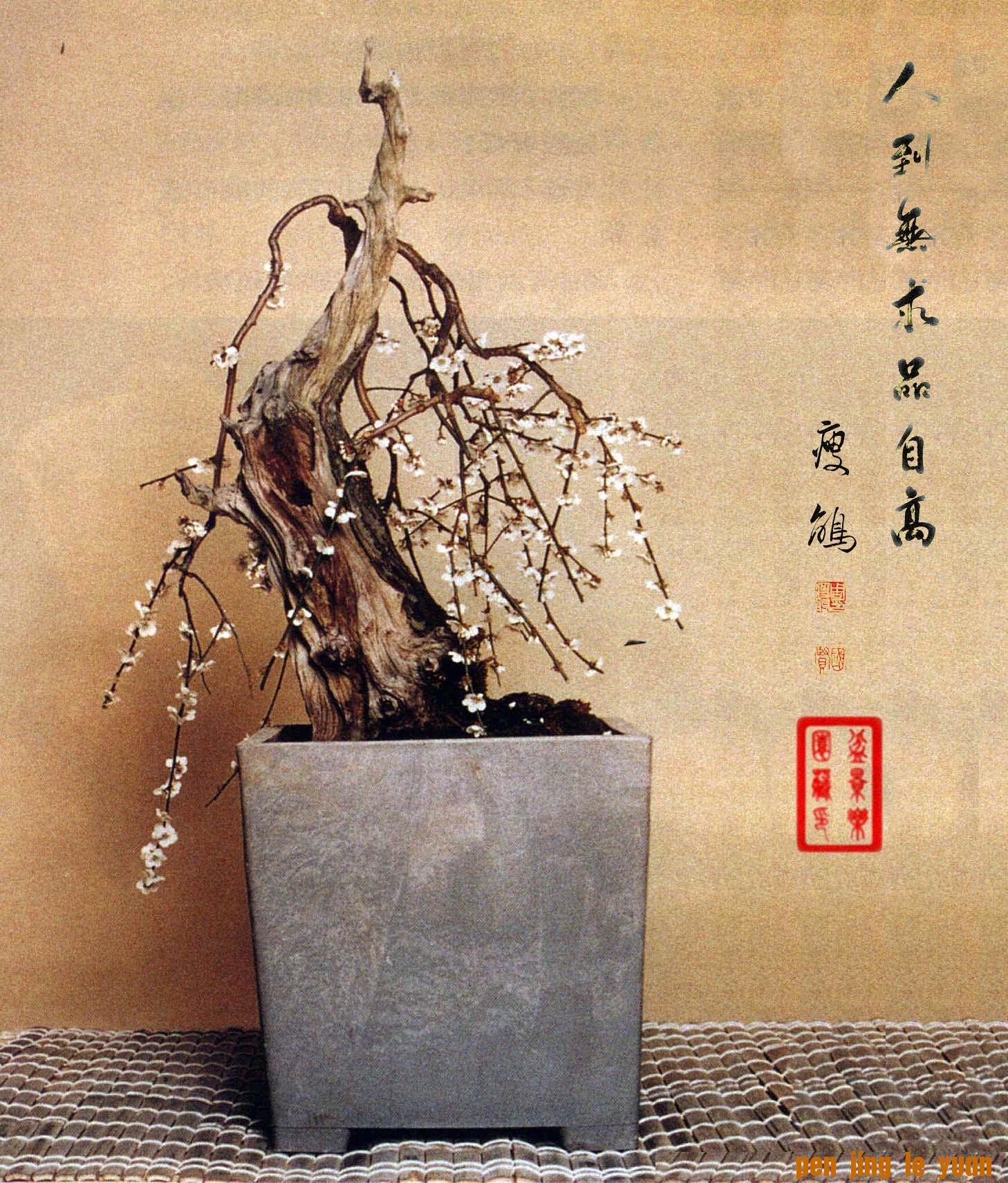ݾƷ1.jpg