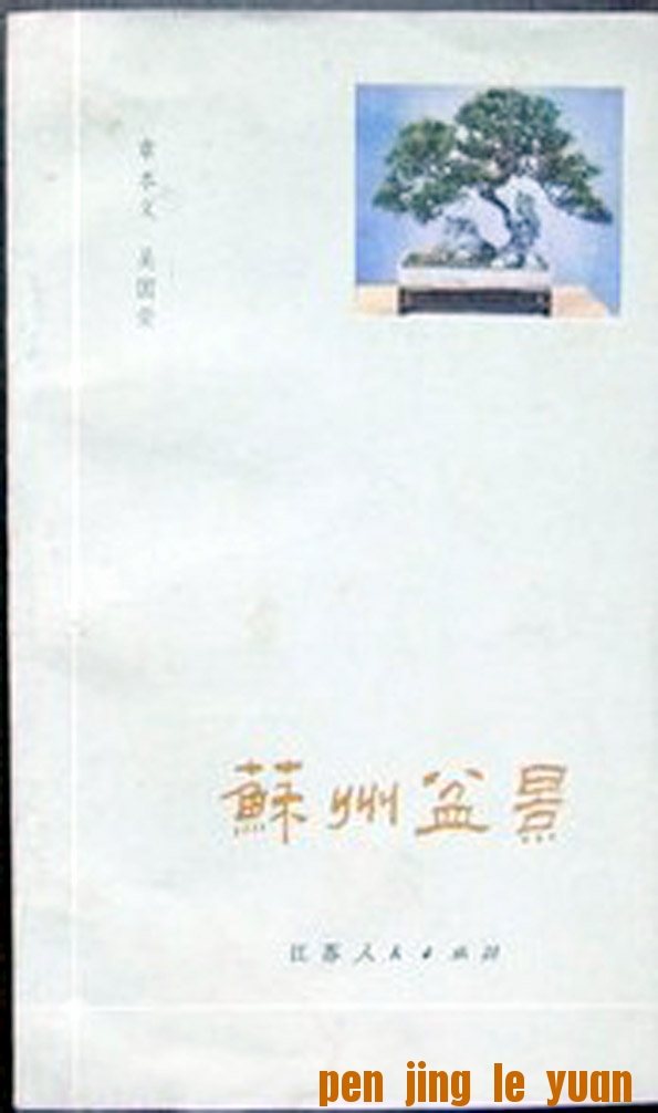 辰1981-.jpg