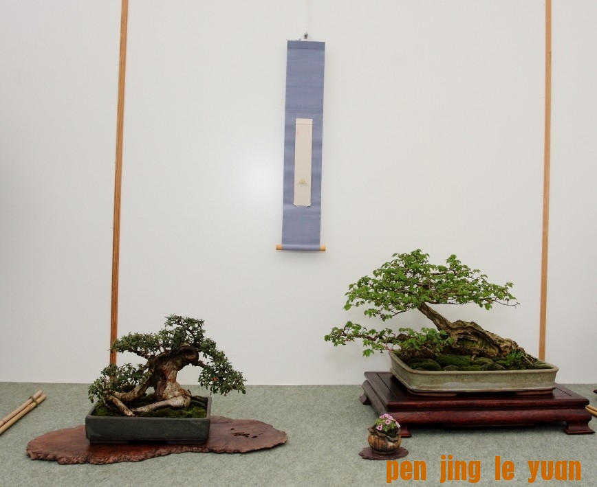 BSA Shohin Off 2011 027.jpg