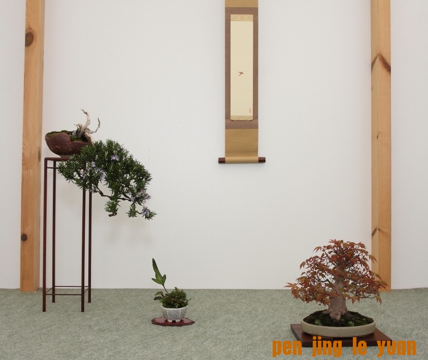 BSA Shohin Off 2011 036.jpg