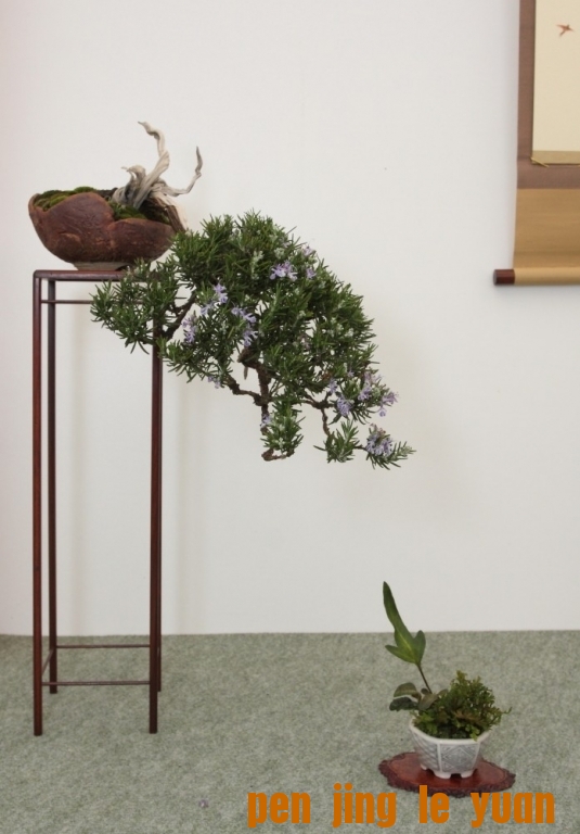 BSA Shohin Off 2011 037.jpg