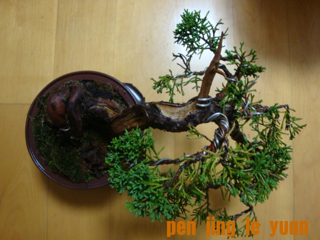 DSC06550.JPG