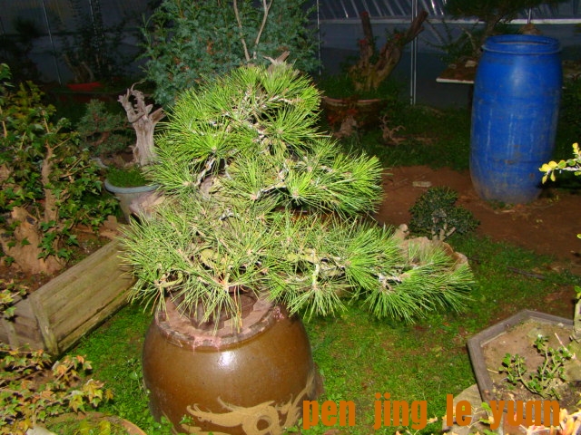 DSC07044.JPG