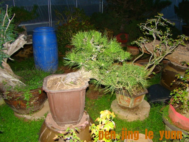 DSC07045.JPG