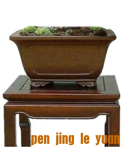 1161597789.jpg
