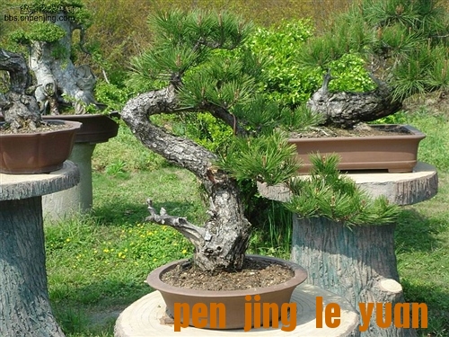 b0.jpg