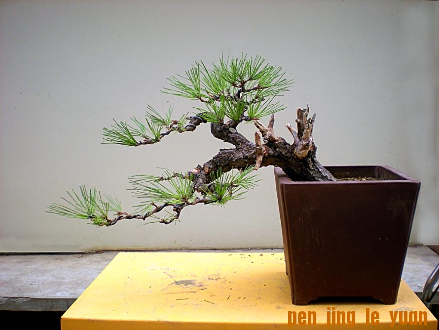 DSCN3493 .jpg