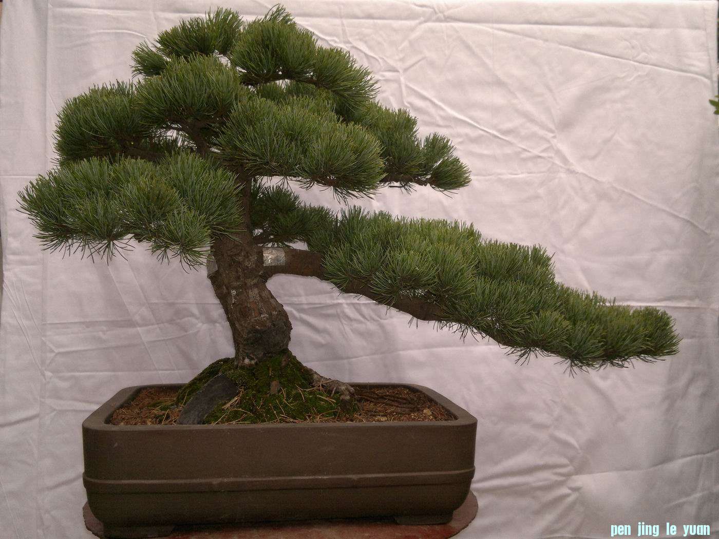 20111020333.jpg