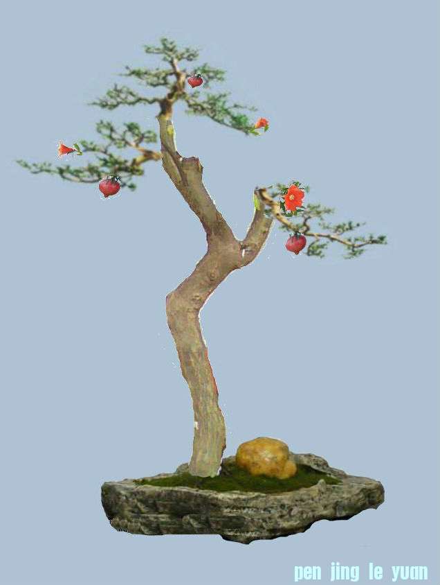 ʯ5.jpg
