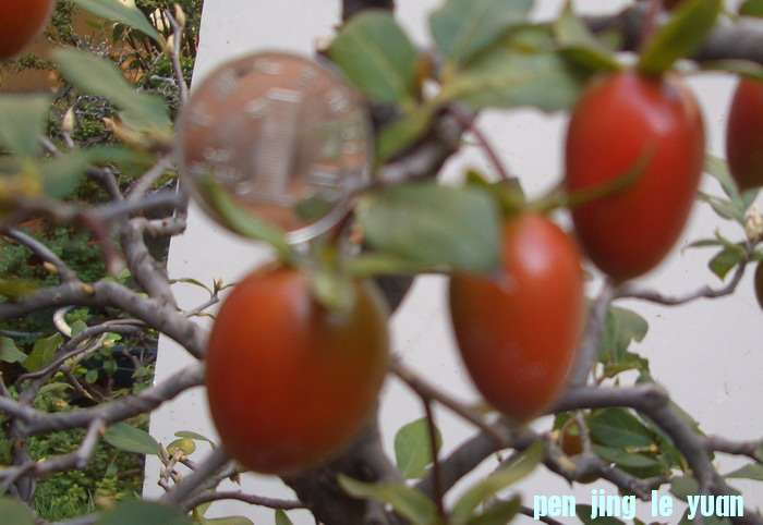 ˫˹111022a.JPG