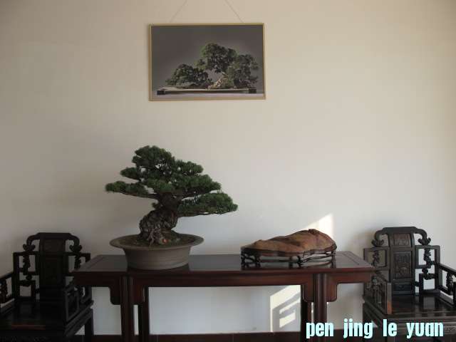 IMG_4970.JPG
