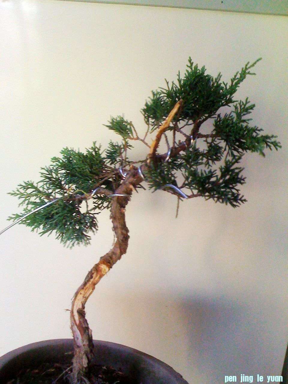 Ƭ 001.jpg