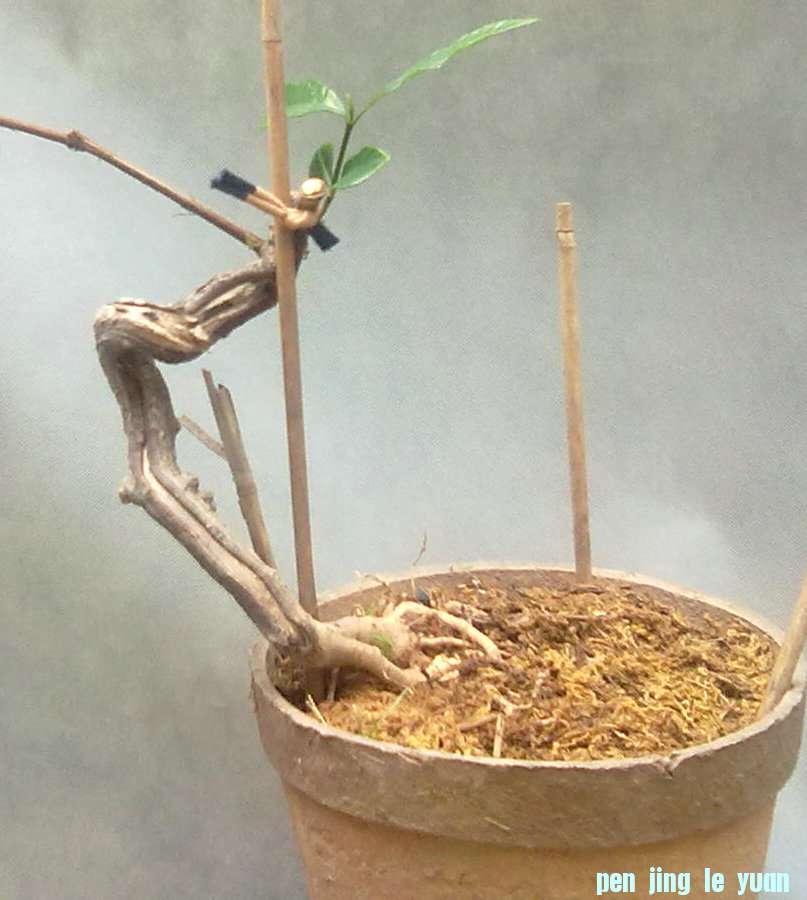 201110232572.jpg