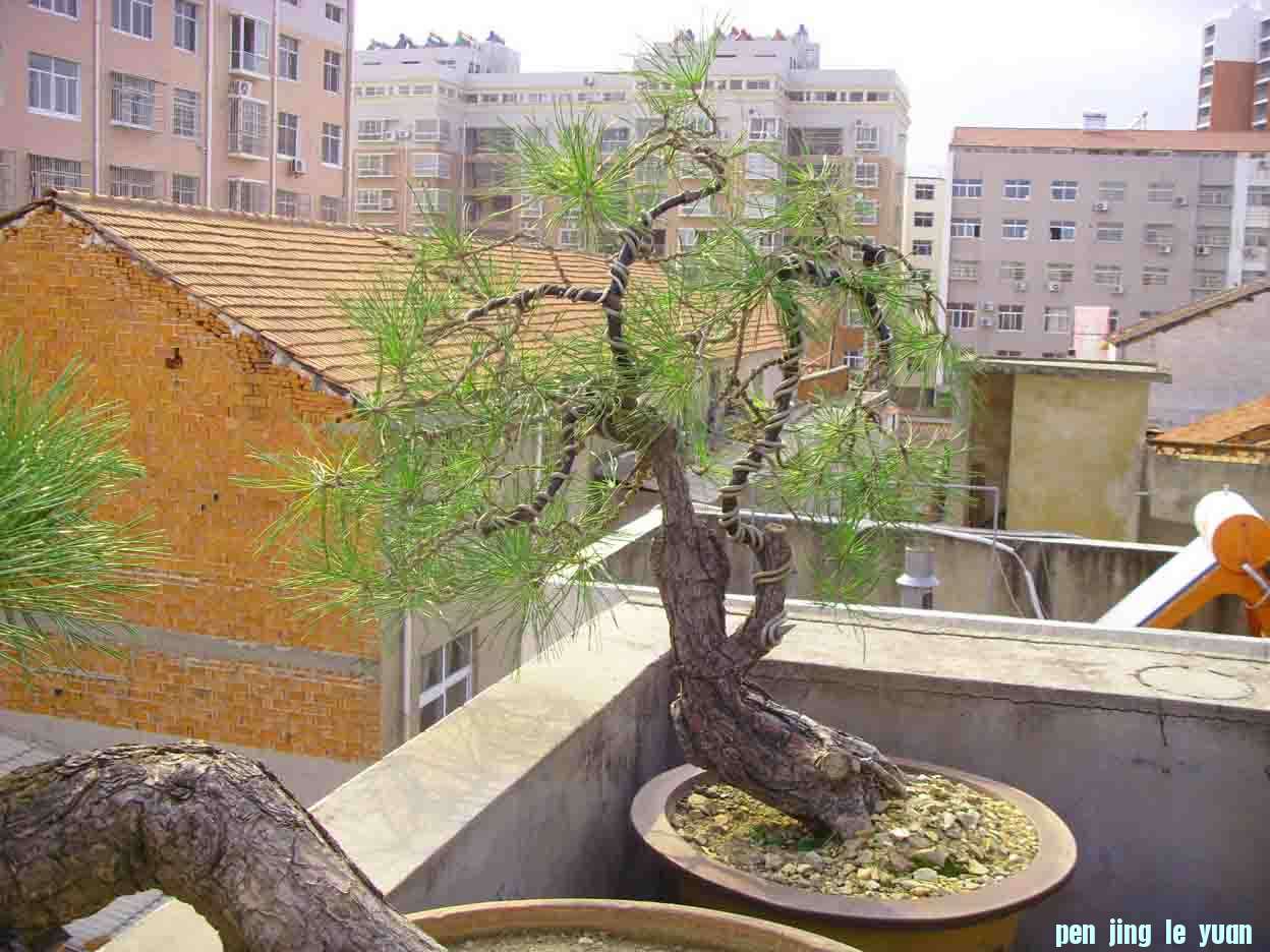 SDC12392.JPG