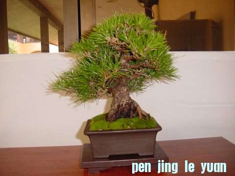 DSC00405.jpg