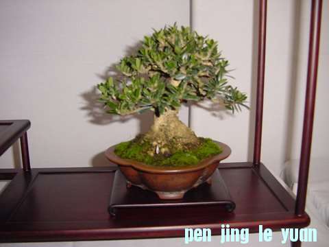 DSC00430.jpg