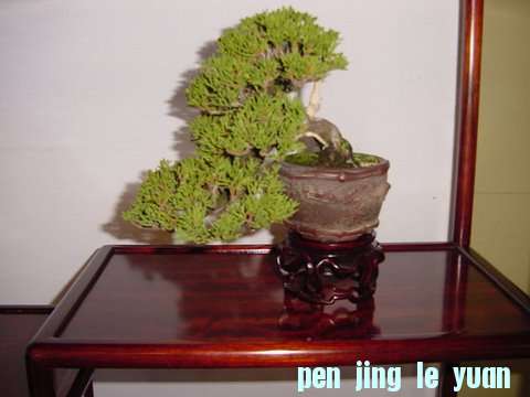 DSC00438.jpg