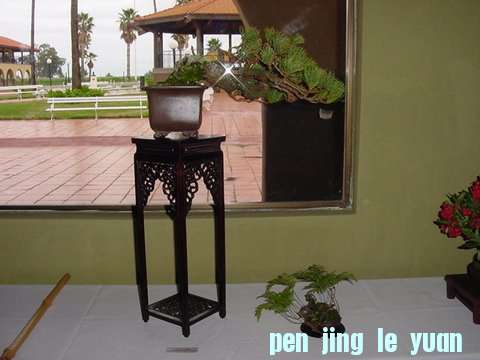 DSC00448.jpg