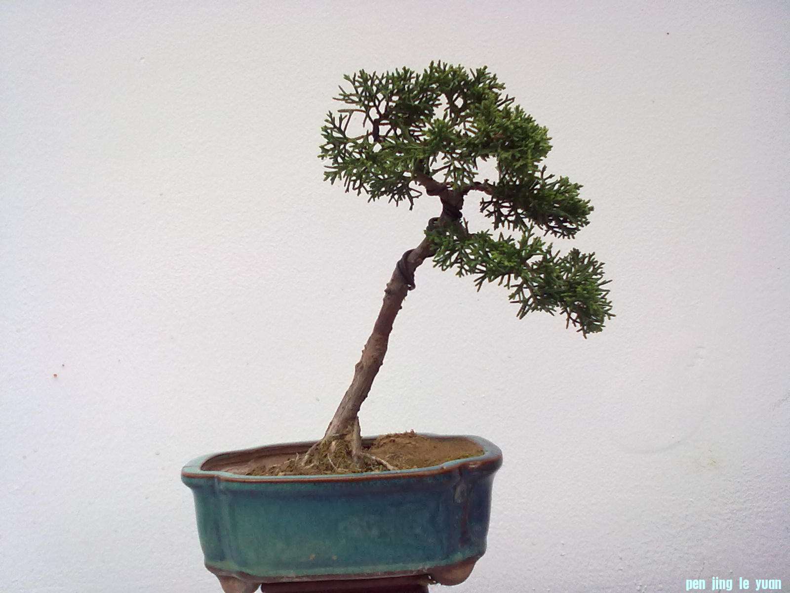 20111024852.jpg
