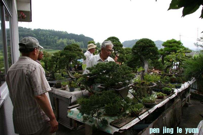 050730_026_1_3_1[1].jpg