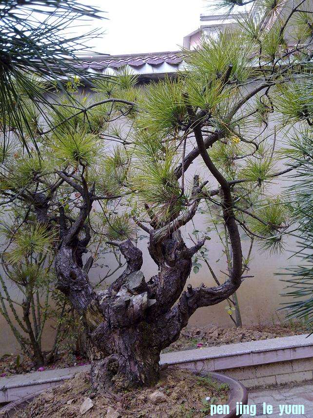 20111023480.jpg