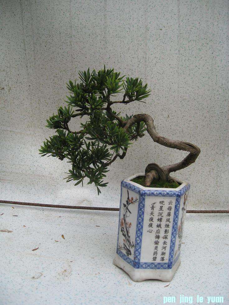 Ƭ 14673.jpg