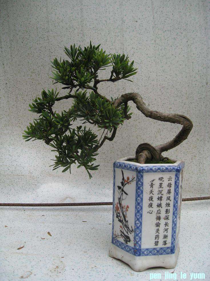 Ƭ 14671.jpg