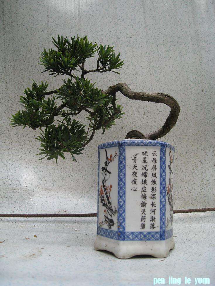 Ƭ 14672.jpg