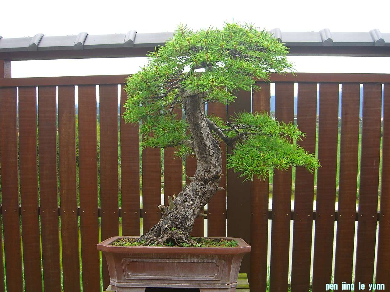 F23_20080621031740565.jpg